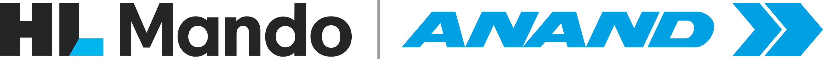 HL ANAND Logo